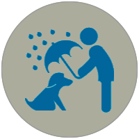 pessoa segurando guarda chuva sobre cachorro