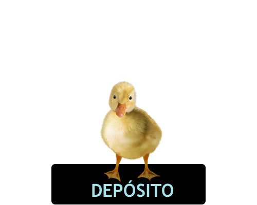Imagem de pato