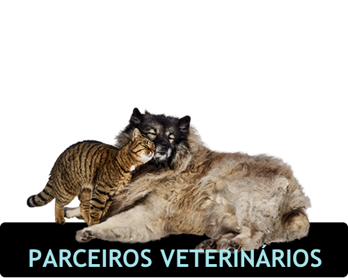 Imagem de cachorro e gato